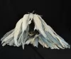 Bavarian General "Federbush" / Plume & Trichter for Parade Visuel 5